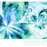 Revitalize