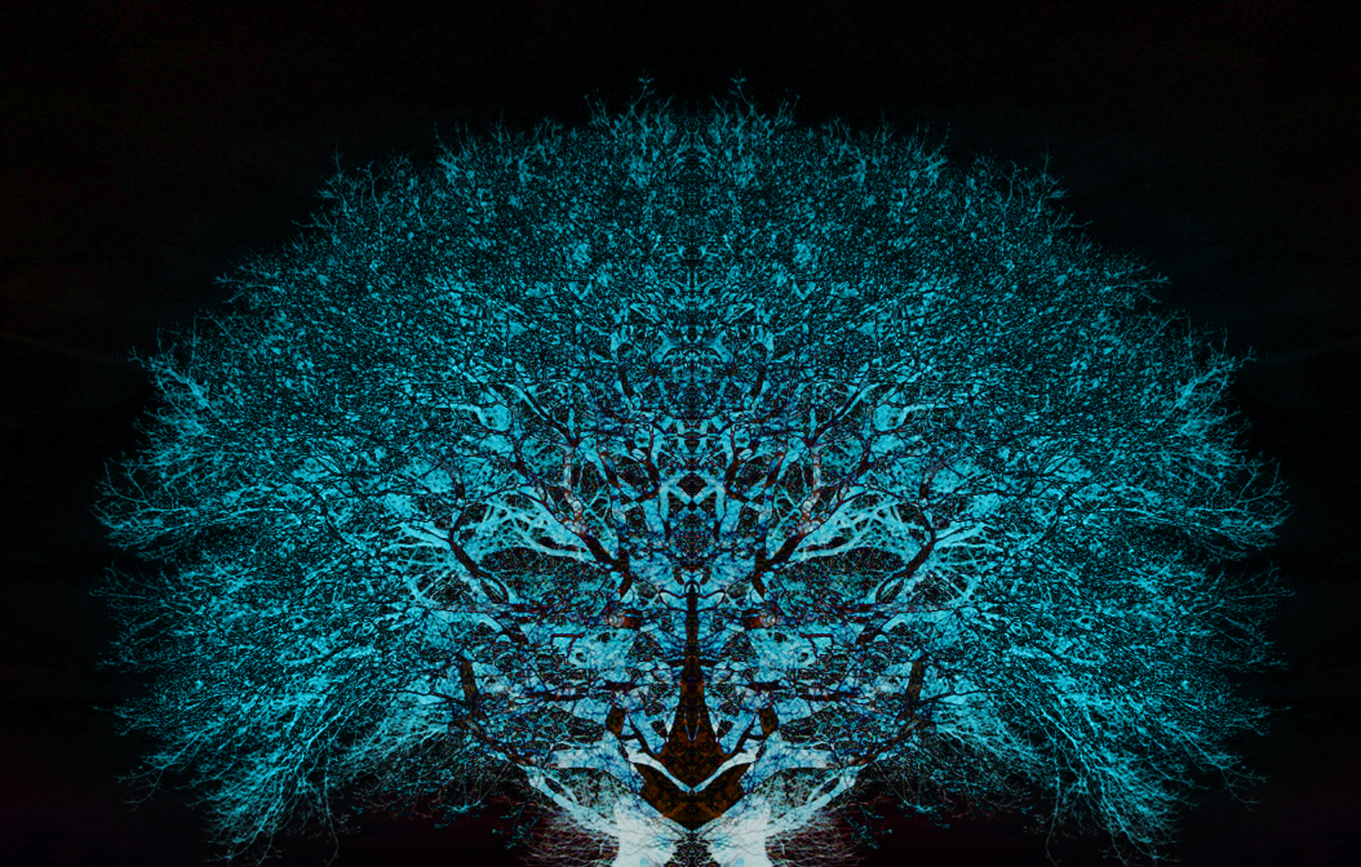 Cat Fractal Psychedelic Hd By Andenanden On Deviantart Cat Fractal Psychedelic Hd By Andenanden On Deviantart