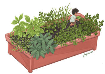 Container Garden