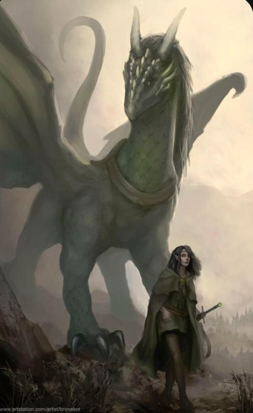 Dragon and rider by Fox4lifer on DeviantArt