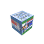 Berniecube2