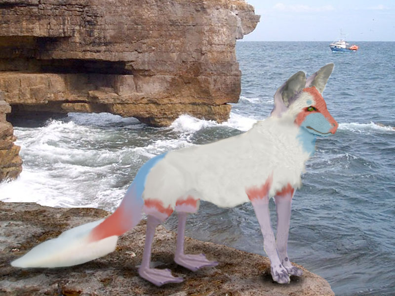 Real Life Fluffel by FableWolf on DeviantArt