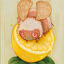 Lemon Drop