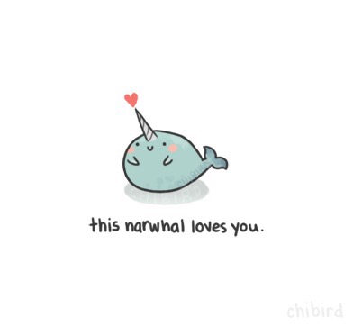 Love Narwhal