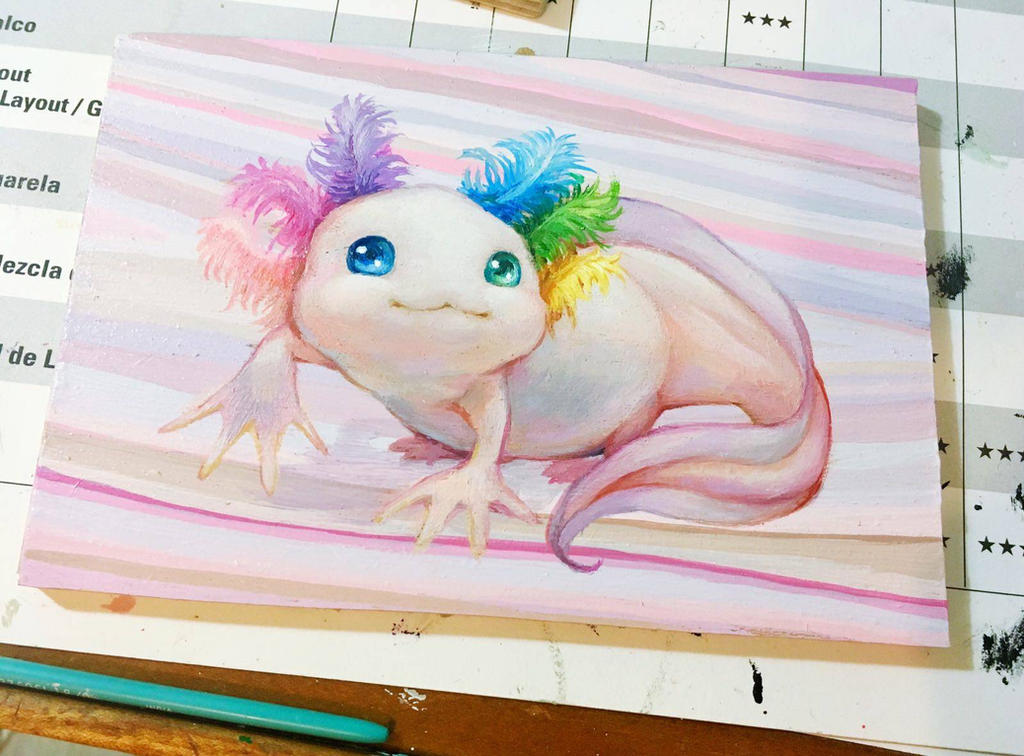 Axolotl