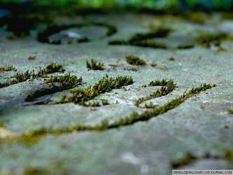 abandoned tombstone