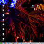 Redness as desktop