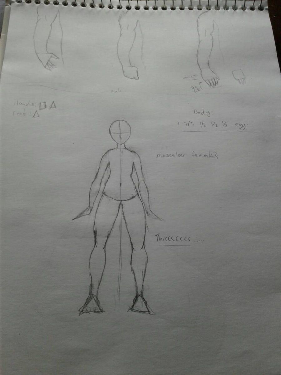 Anatomy Practice #1