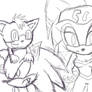 Shade, Chip, sonic the werehog