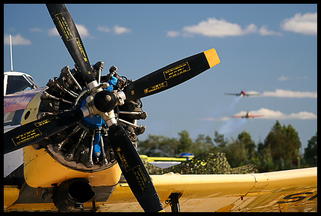 Yellow Plane