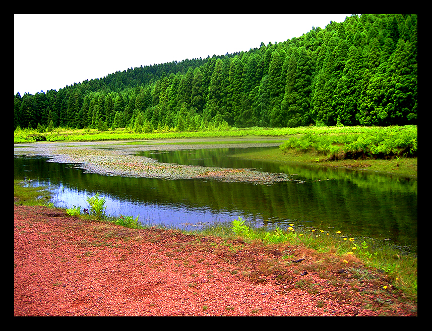 azores flow...