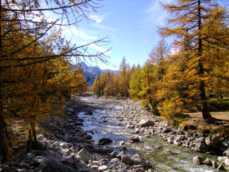 October in the Italian Alps VI