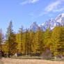 October in the Italian Alps IX