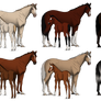 Thoroughbred Mare/Foal Adopts CLOSED