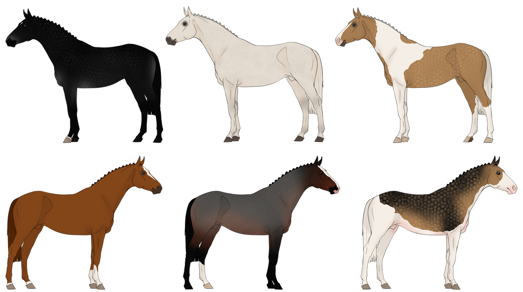 Adoptable Sheet 4 (1/6) ~ REDUCED