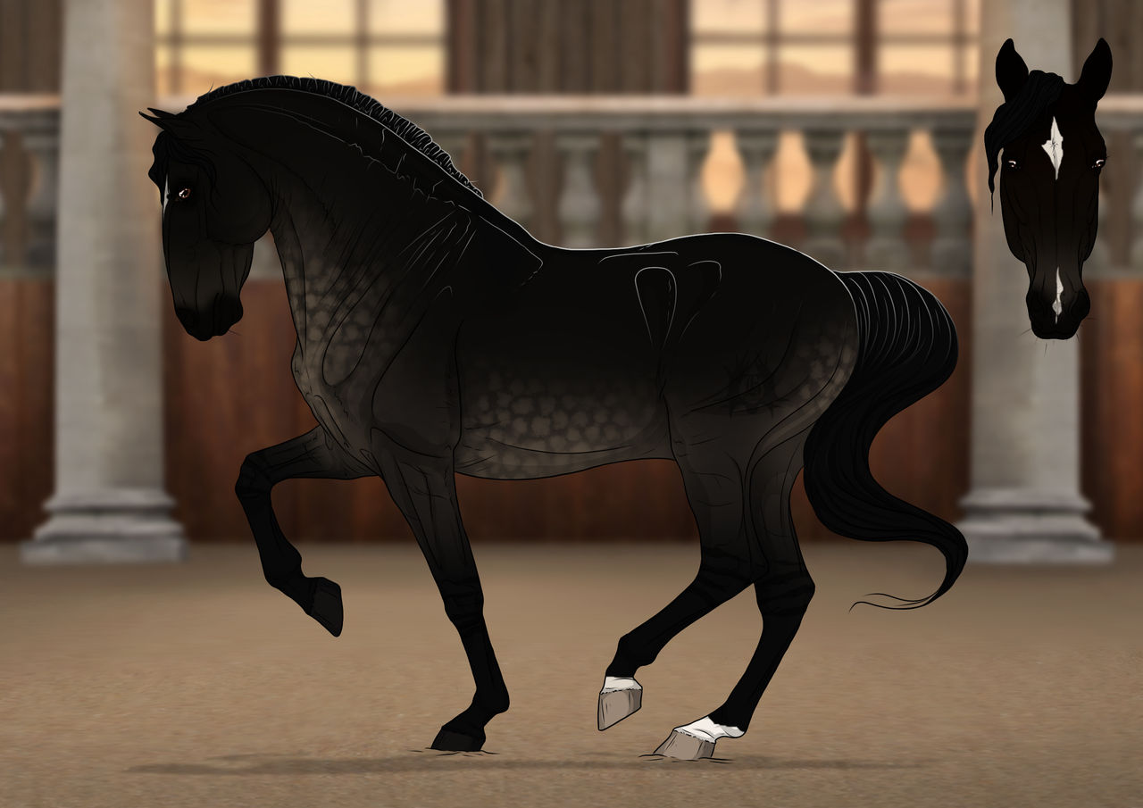 Barroco Import | CLOSED