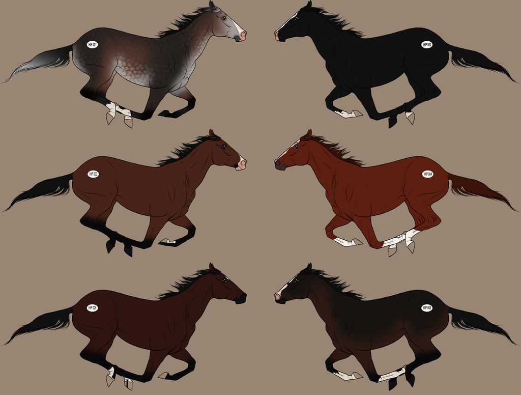 Thoroughbred Lineage Imports CLOSED