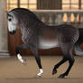 Barroco Custom Import | SpiritWindcaper