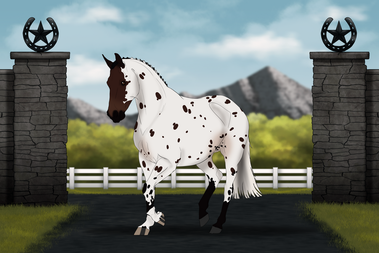 #S010 | On the Border