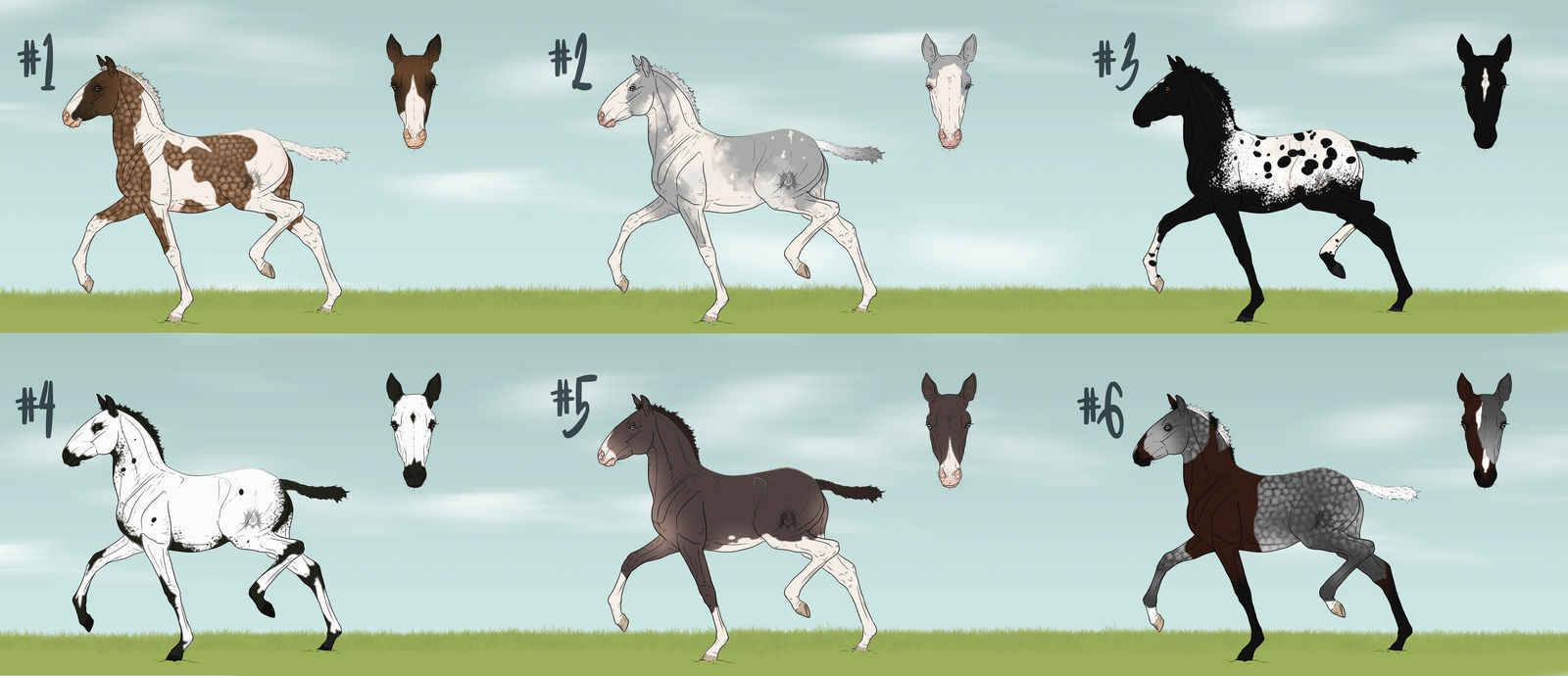 Barroco Spring Foals | OTA / Buy Out (1/6)