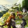Where Edelweiss Bloom