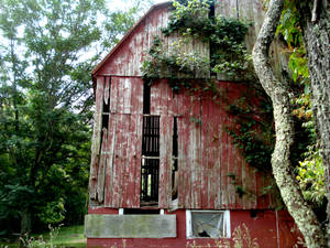 Barn