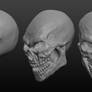 skull Sculpt