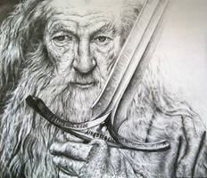 Gandalf the Grey