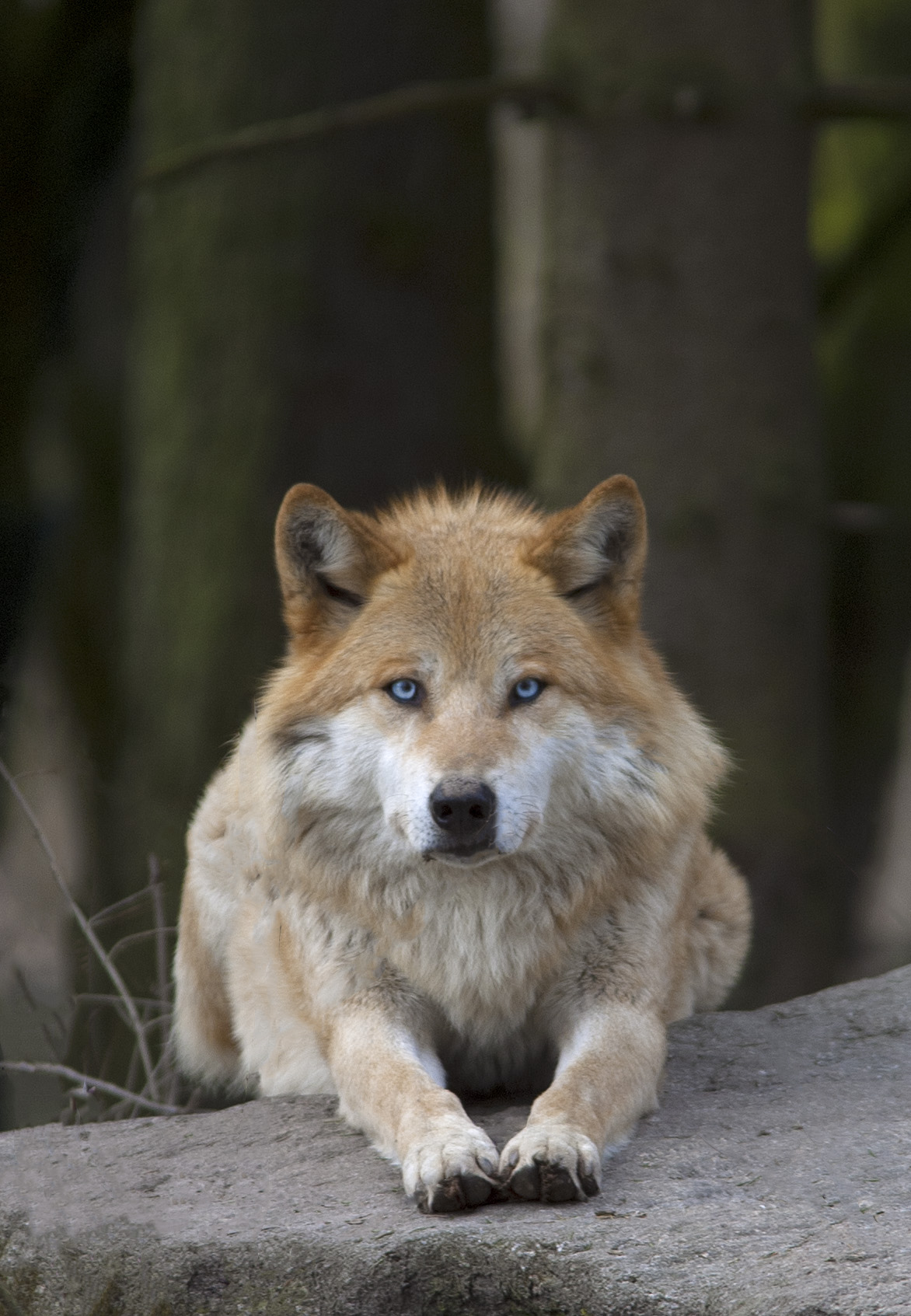 dbtzx02-76cd84a0-e3ec-445c-80eb-17511e7214d2.jpg?token=eyJ0eXAiOiJKV1QiLCJhbGciOiJIUzI1NiJ9.eyJzdWIiOiJ1cm46YXBwOjdlMGQxODg5ODIyNjQzNzNhNWYwZDQxNWVhMGQyNmUwIiwiaXNzIjoidXJuOmFwcDo3ZTBkMTg4OTgyMjY0MzczYTVmMGQ0MTVlYTBkMjZlMCIsIm9iaiI6W1t7InBhdGgiOiJcL2ZcLzQ1NzNlZDZlLWIxOTItNDFkYS1hOGQ2LWVmZmU4NzE1MTc0OFwvZGJ0engwMi03NmNkODRhMC1lM2VjLTQ0NWMtODBlYi0xNzUxMWU3MjE0ZDIuanBnIn1dXSwiYXVkIjpbInVybjpzZXJ2aWNlOmZpbGUuZG93bmxvYWQiXX0.aH6G5OKfzRwuQBdU4PngHbVbyqL_RP5tHqQdNXmEbXo