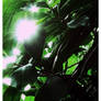 Overgrowth