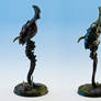 Zoanthrope