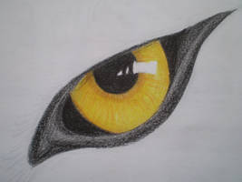 Wolf's eye