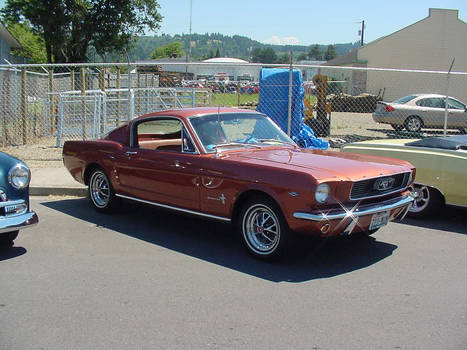Mustang Muscle 2