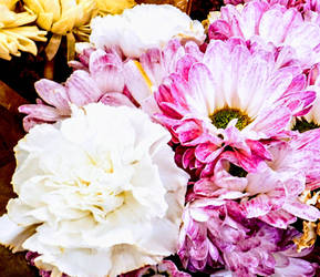 March Madness : Easter Season Flowers