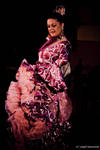 Flamenco by choas-overlord-joe