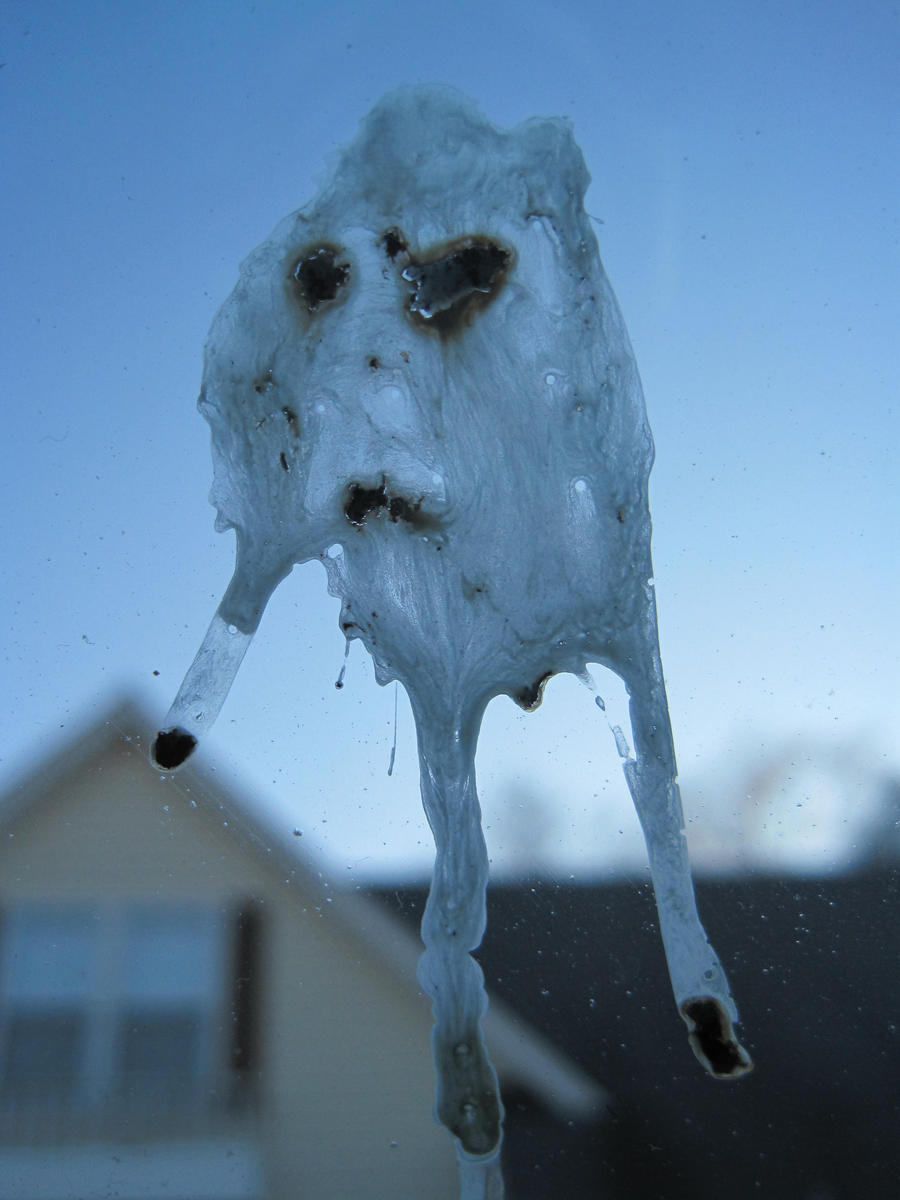 Bird poo is not pleased