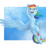 Rainbow Dash