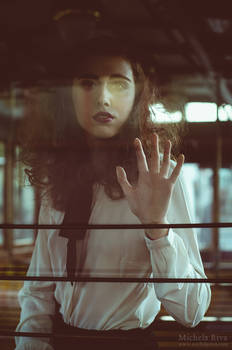 Tramway to Dreamland XV
