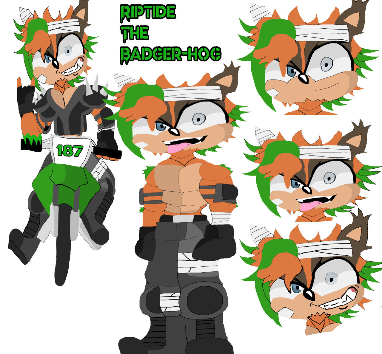 riptide the badger hog by DaWarrior5150 on DeviantArt