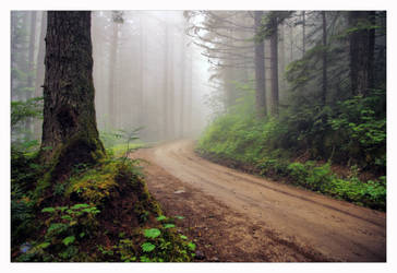 Misty Mountain by jasonwilde