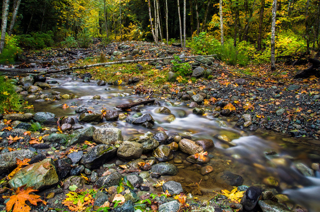 Fall has Fell