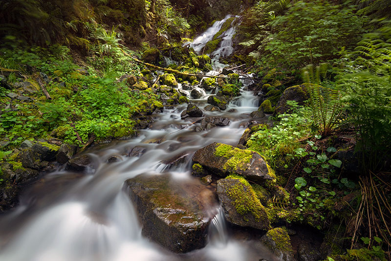 Cascade Creek Spring