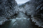 Winter Lives by jasonwilde