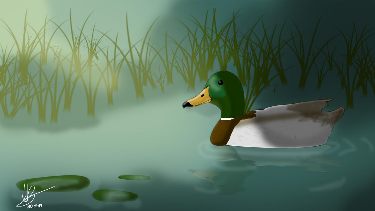 Pato by CuervoArtorias on DeviantArt