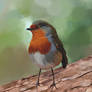 Fat Little Red Robin