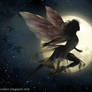Night Fairy