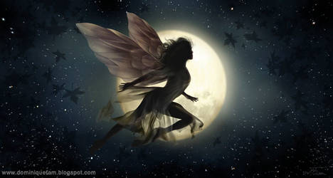 Night Fairy