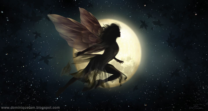 Night Fairy