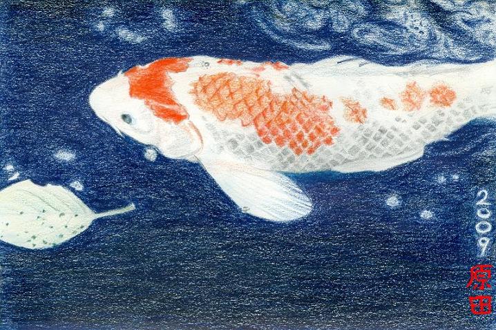 KOI