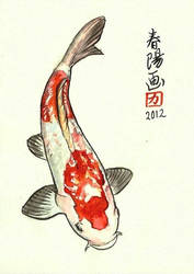 KOI 3